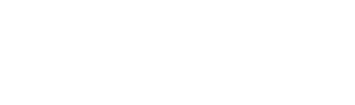 zinabus